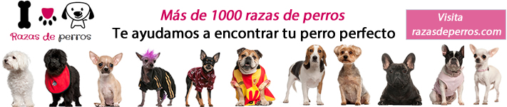razas de perros
